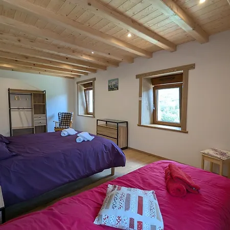 Spacieux Renove Dans Les Vosges Pour 10 Personnes, Ideal Pour Familles Et Amis - Fr-1-589-827