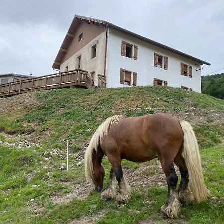 Spacieux Renove Dans Les Vosges Pour 10 Personnes, Ideal Pour Familles Et Amis - Fr-1-589-827 Bussang